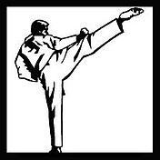 martial arts VCIO